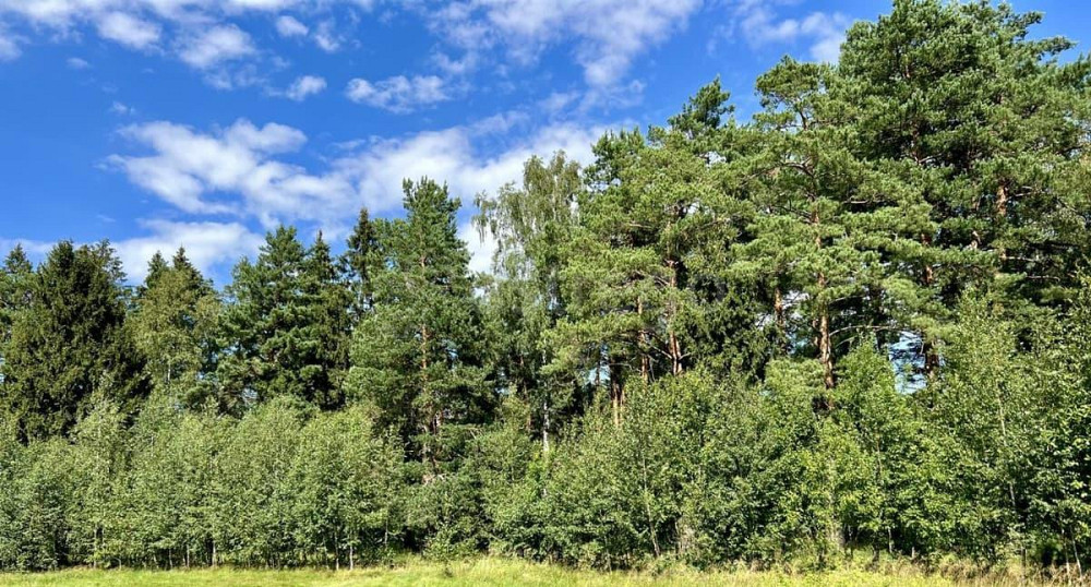 Земельный участок, 7 соток Пушкино - изображение 7