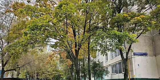 Комната, 24.4 м2, 9/9 эт. Москва