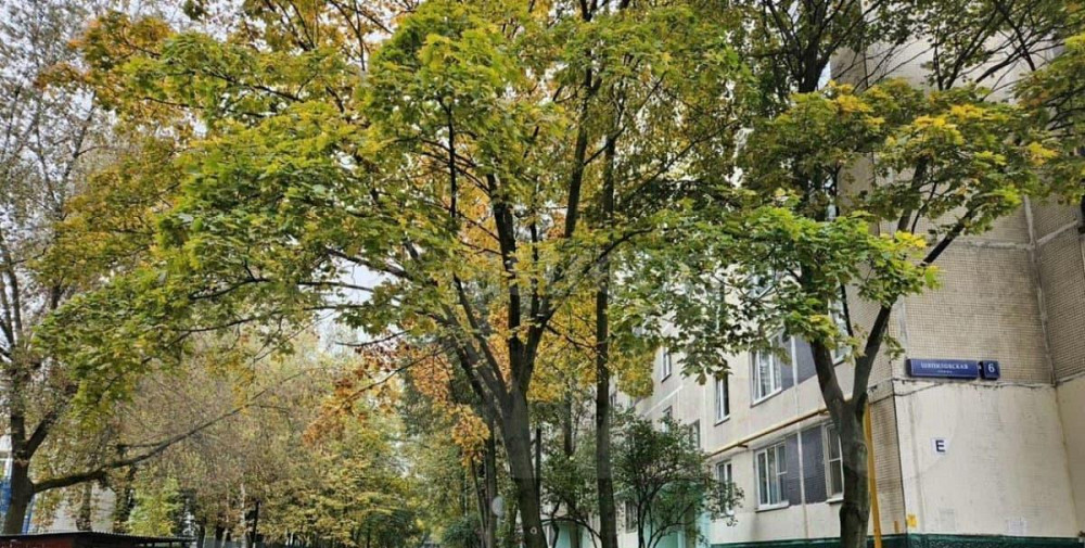 Комната, 24.4 м2, 9/9 эт. Москва - изображение 3