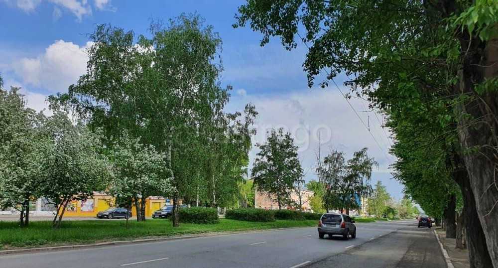 Торговое помещение, 63.2 м2 Барнаул - изображение 5