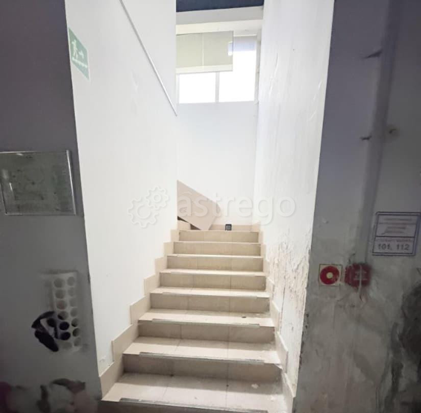 Торговое помещение, 544 м2 Пушкино - изображение 3