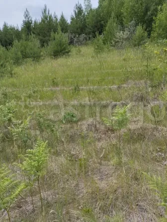 Продам участок, Садовый, 20 сот. Иркутск - изображение 3