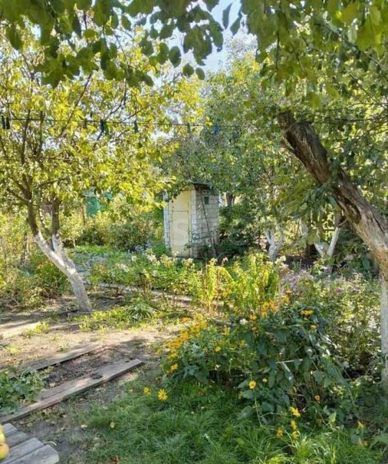 Дача, 30 м2, 4 сотки, 2 эт. Старый Оскол - изображение 4