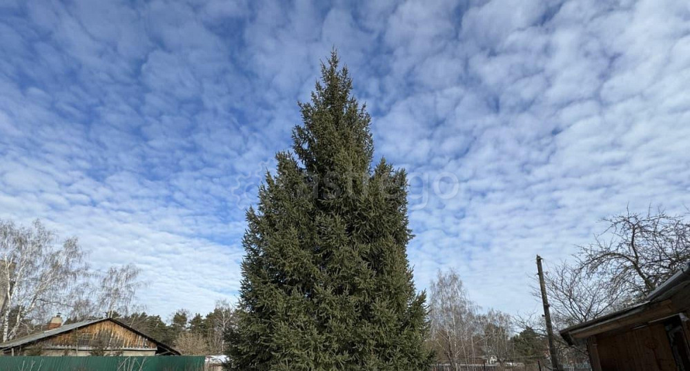 Дом, 65 м2, 13.29 сотки, 1 эт. Старая Купавна - изображение 3