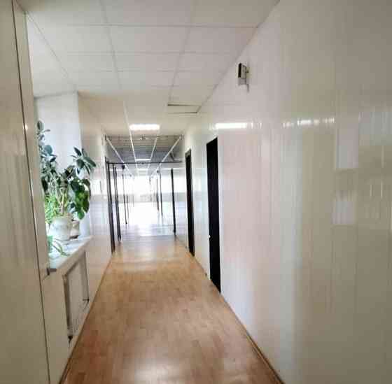 Офис, 30 м2 Красноярск