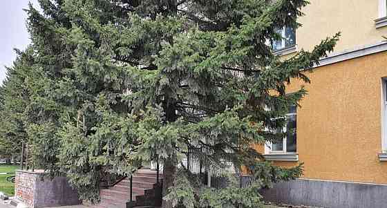 Офис, 1119.1 м2 Барнаул