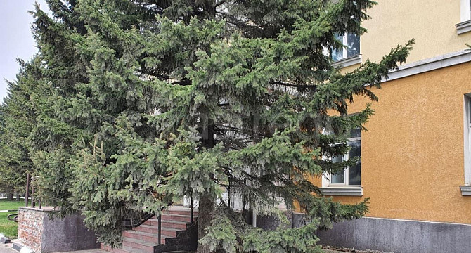 Офис, 1119.1 м2 Барнаул - изображение 6