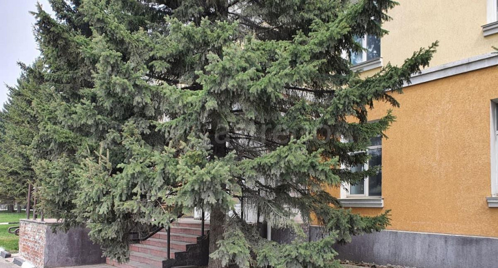 Офис, 1119.1 м2 Барнаул - изображение 6