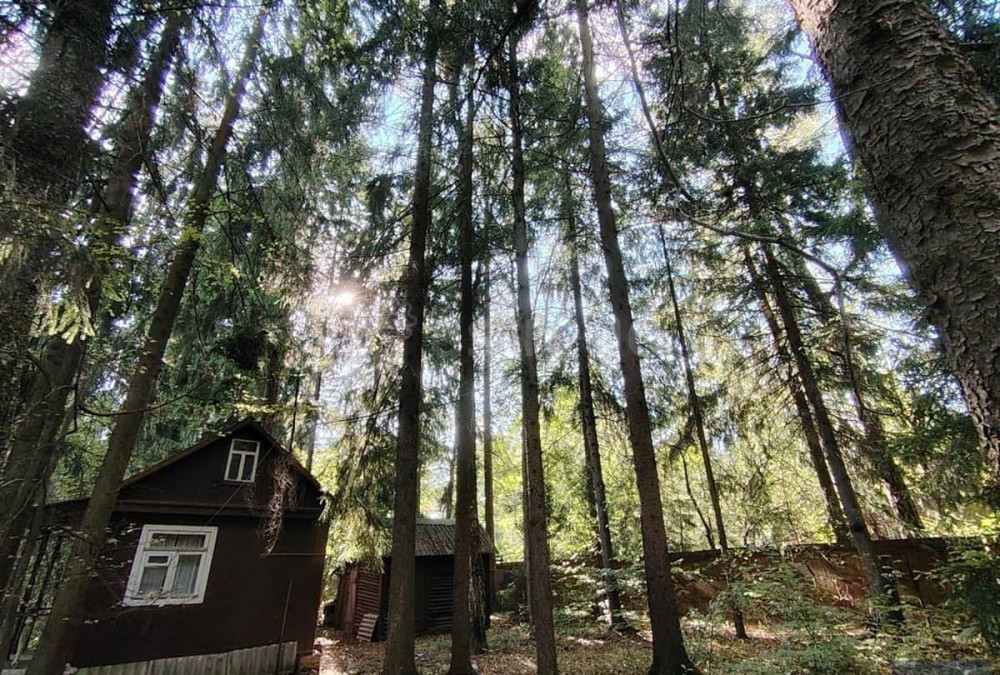 Земельный участок, 14.8 сотки Апрелевка - изображение 10