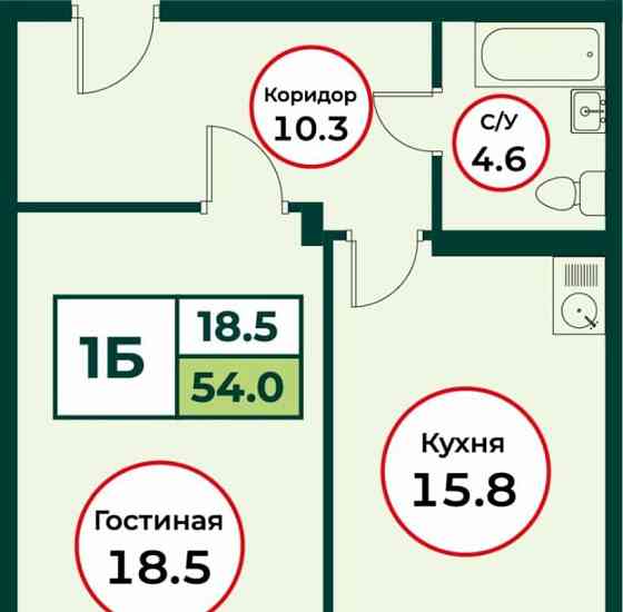 1-комн. квартира, 54.03 м2, 1/8 эт. Емельяново