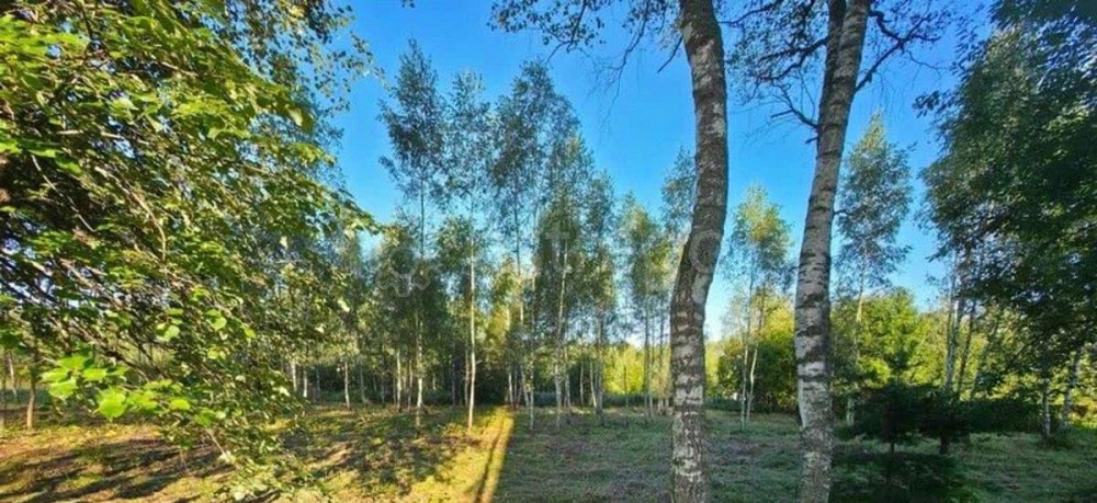 Земельный участок, 35 соток Руза - изображение 2