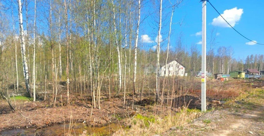 Земельный участок, 12 соток Санкт-Петербург - изображение 4