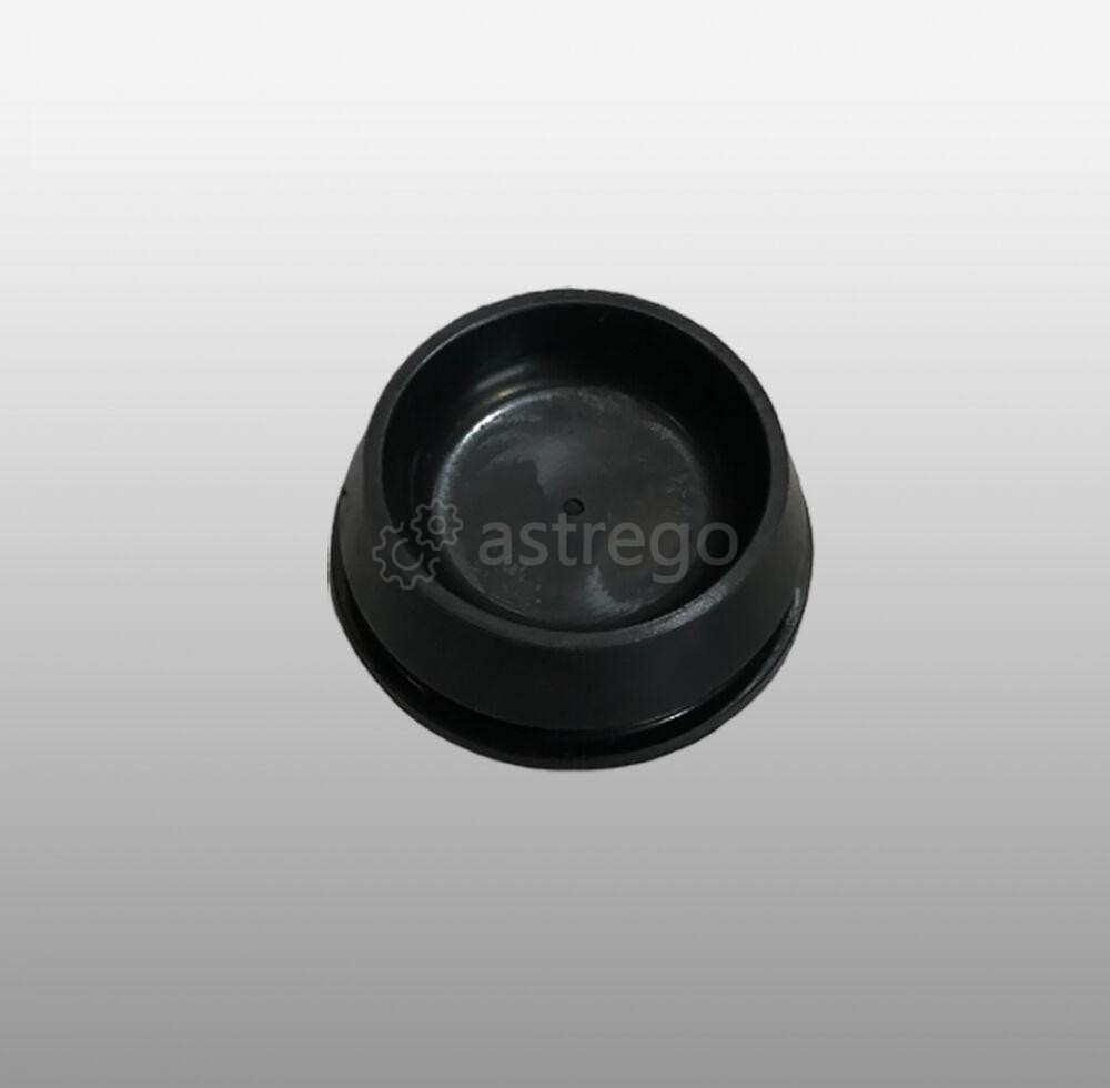 81.96002.0098 - Пробка (заглушка) щитка на Shacman, Shaanxi, КамАЗ, Урал Shaft-Gear  - изображение 1