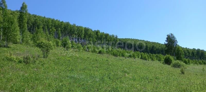 Коммерческий участок, 27 соток Алтайское - изображение 7