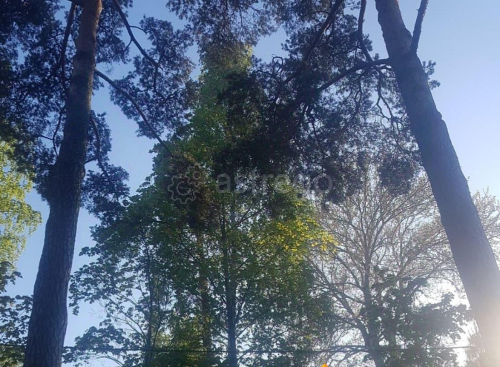 Земельный участок, 23 сотки Санкт-Петербург - изображение 4