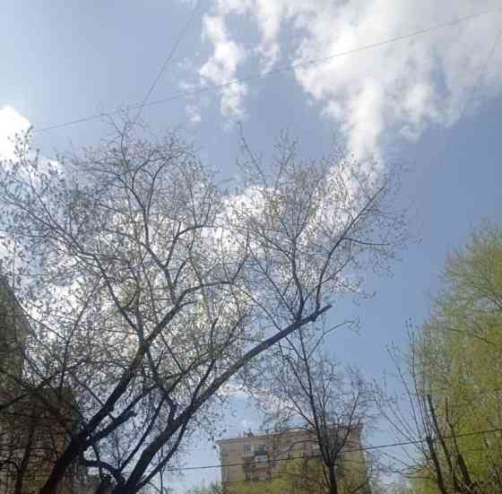 Комната, 24 м2, 3/10 эт. Москва