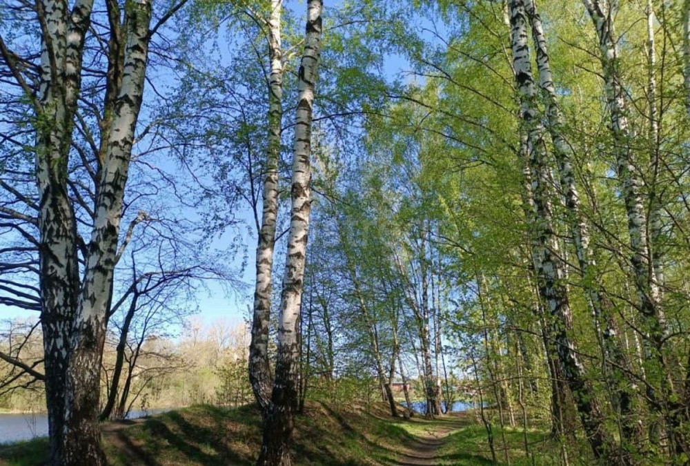 Коттедж, 194.6 м2, 6 соток, 2 эт. Балашиха - изображение 8