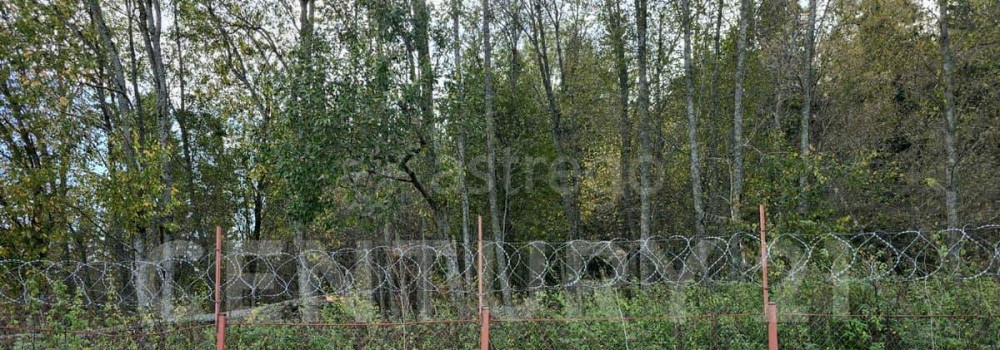 Земельный участок, 3.5 га Шаховская - изображение 3