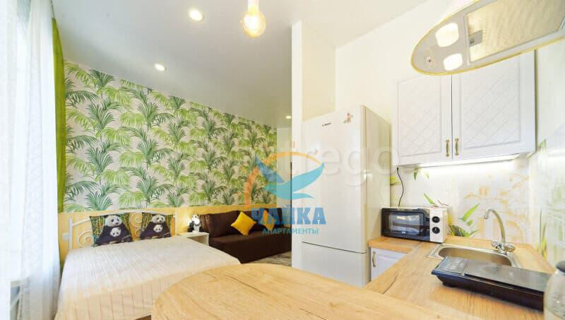 Студия, 25 м2, 5/5 эт. Санкт-Петербург - изображение 1