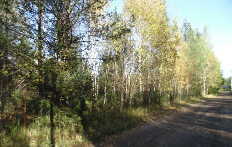 Земельный участок, 17 соток Санкт-Петербург - изображение 10