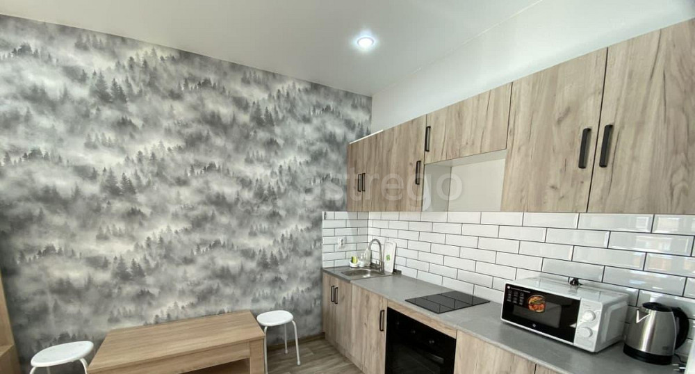 Студия, 28 м2, 2/17 эт. Барнаул - изображение 2