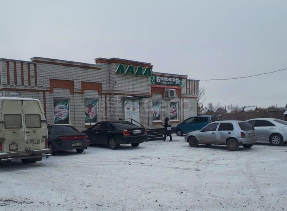 Свободного назначения, 426 м2 Поспелиха - изображение 4