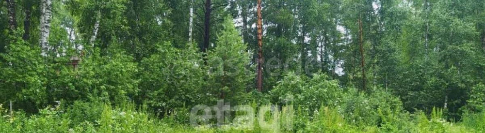 Земельный участок, 5.98 сотки Благовещенск - изображение 5