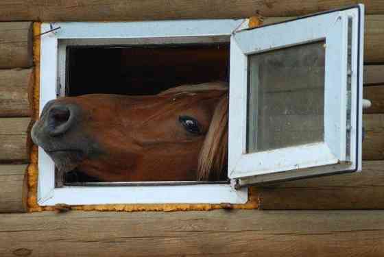 Окно маленькое Челябинск