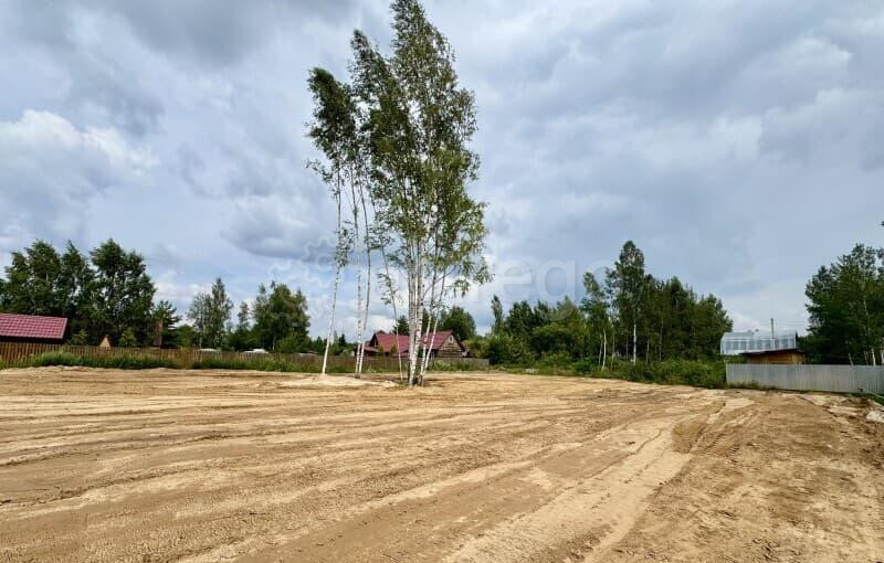 Земля с/х назначения, 19 соток Орехово-Зуево - изображение 10