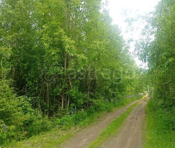 Земельный участок, 10 соток Санкт-Петербург - изображение 3