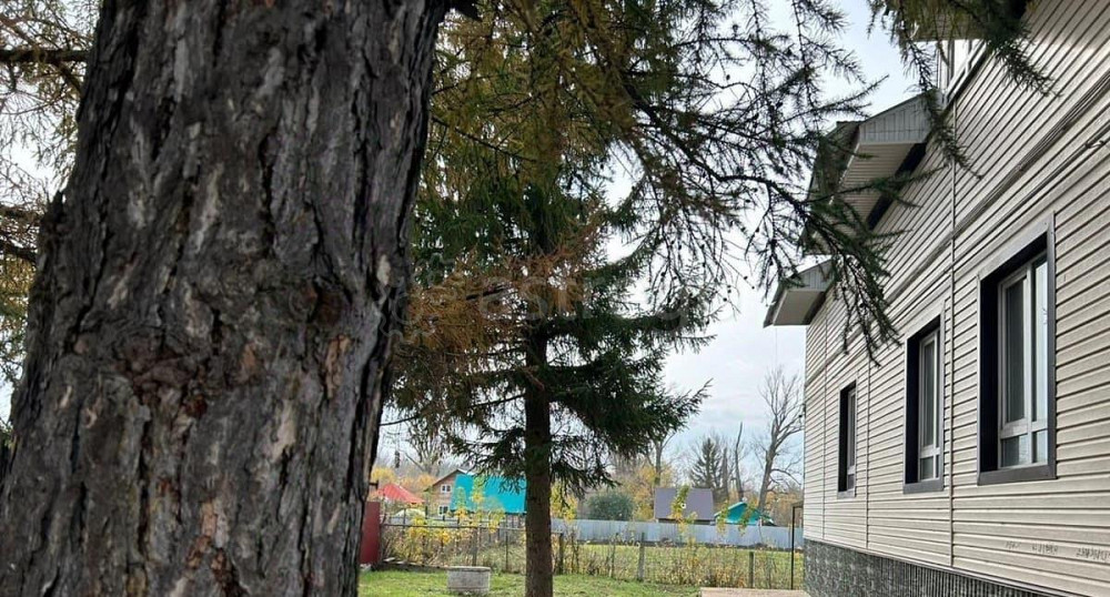 Торговое помещение, 370 м2 Чишмы - изображение 7