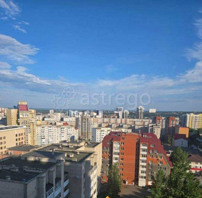2-комн. квартира, 70 м2, 14/16 эт. Барнаул - изображение 2