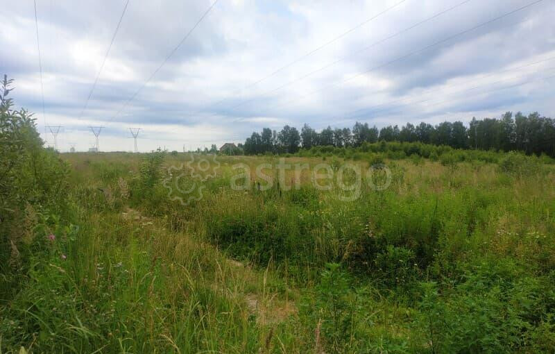 Земля с/х назначения, 17.59 сотки Чехов - изображение 1