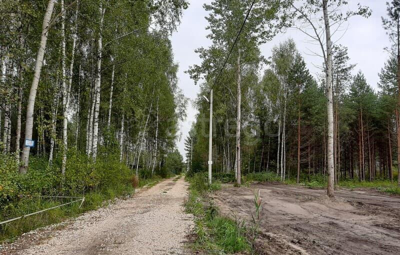 Земля с/х назначения, 8 соток Павловский Посад - изображение 5