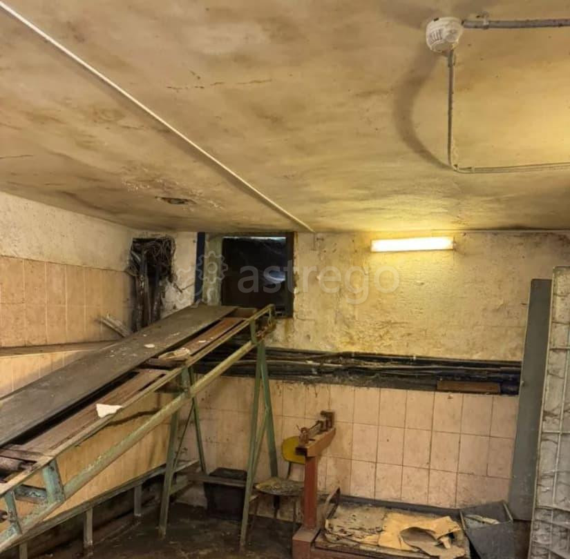 Торговое помещение, 322 м2 Санкт-Петербург - изображение 6