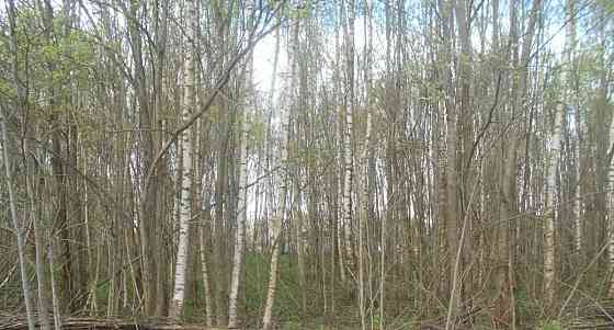 Земельный участок, 15.13 сотки Шаховская