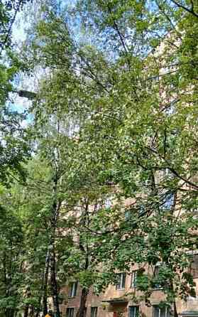 4-комн. квартира, 76 м2, 2/9 эт. Одинцово