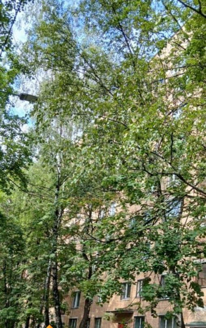 4-комн. квартира, 76 м2, 2/9 эт. Одинцово - изображение 6