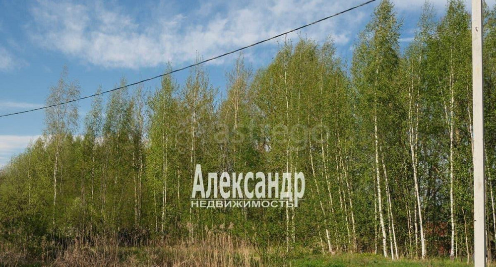 Земельный участок, 12 соток Санкт-Петербург - изображение 5