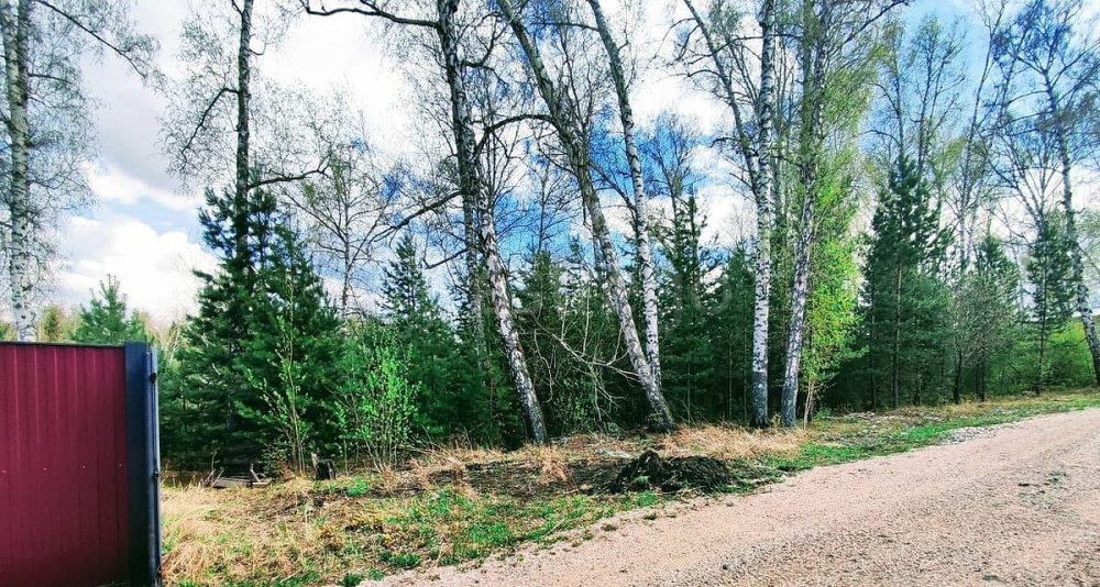 Земельный участок, 12 соток Красноярск - изображение 4