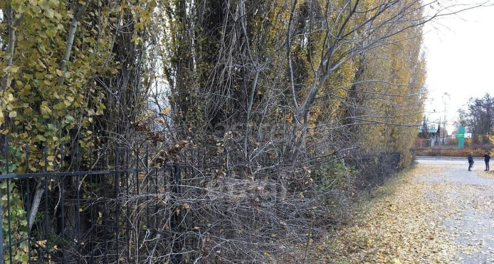 Коммерческий участок, 1.12 га Белгород - изображение 5