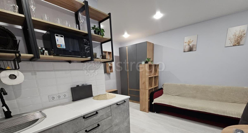 Студия, 18 м2, 1/9 эт. Котельники - изображение 5