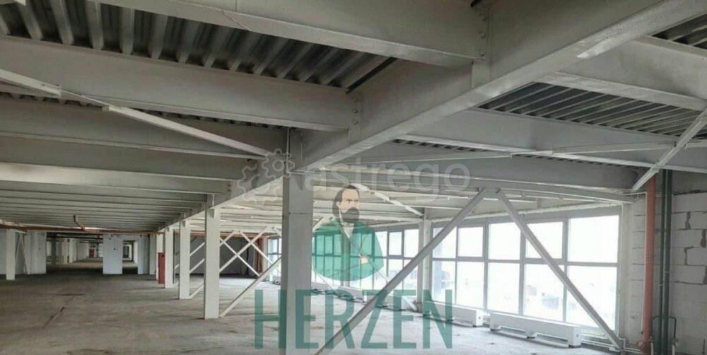 Готовый бизнес, 618 м2 Красногорск - изображение 4