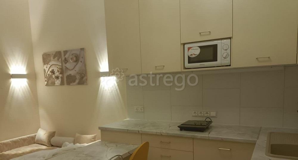 Студия, 20 м2, 1/7 эт. Москва - изображение 7