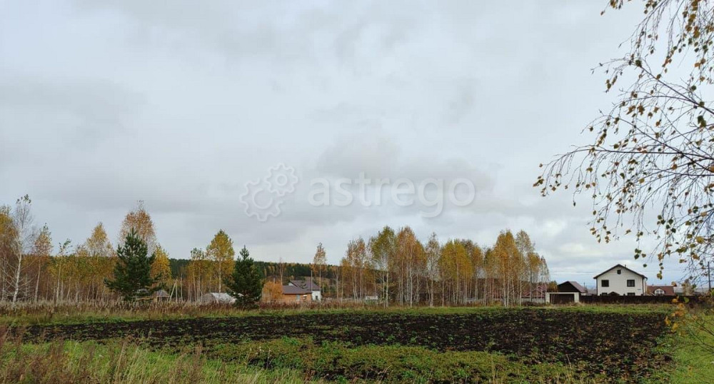 Земельный участок, 14.97 га Емельяново - изображение 4