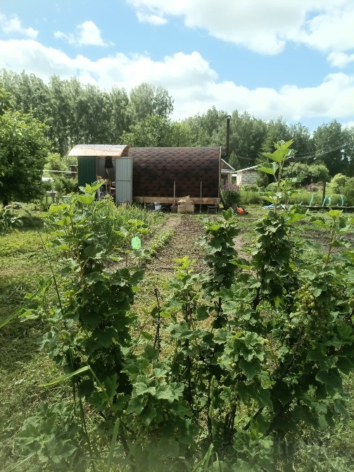 Участок, ИЖС, 11 сот. Новосибирск - изображение 1