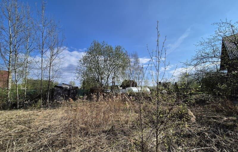 Земля с/х назначения, 4.52 сотки Электрогорск - изображение 8