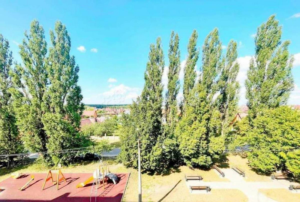 4-комн. квартира, 73.9 м2, 4/5 эт. Строитель - изображение 6