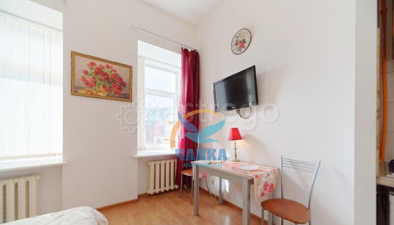 Студия, 20 м2, 4/4 эт. Санкт-Петербург - изображение 8