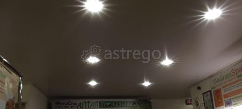 Готовый бизнес, 58 м2 Барнаул - изображение 5